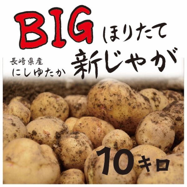 農家直送 長崎県産 新じゃが 大きめ 10キロ