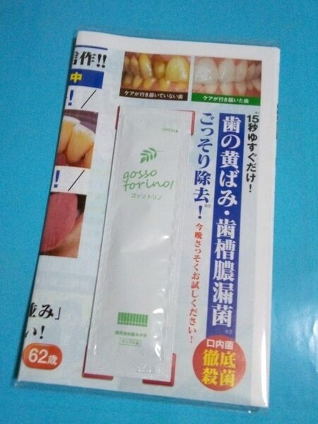 ゴッソトリノ サンブル 優待券付き