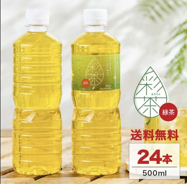 あやちゃ緑茶 24本セット 500ml