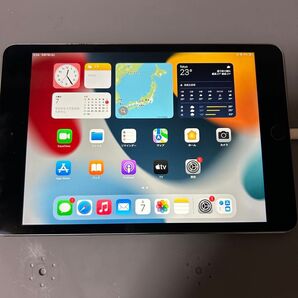 ipadmini4 128GB ジャンク扱い
