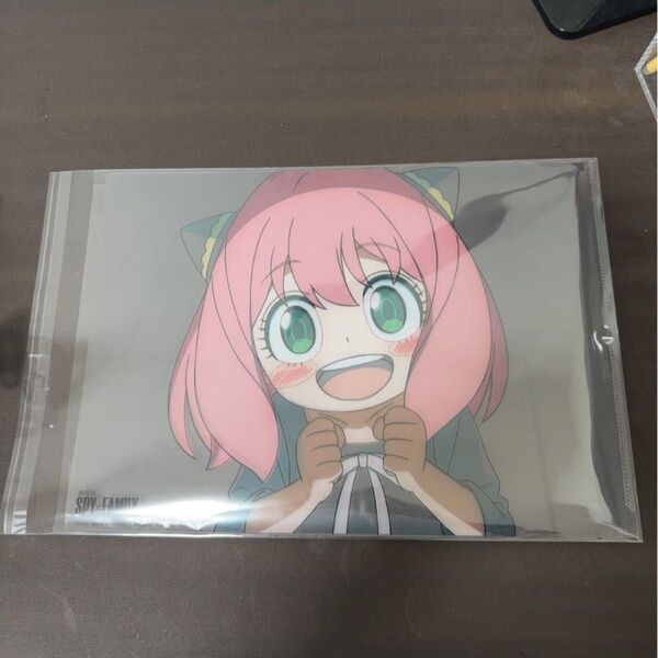 劇場版 SPY×FAMILY マジック クリアファイル グッズ