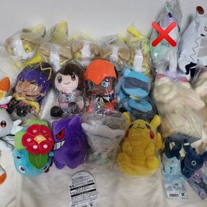 ポケモン ぬいぐるみ まとめ売り へんしんメタモン ブラッキー シャワーズ DOLLS トレーナーズ ユウリ マイピカ イースター