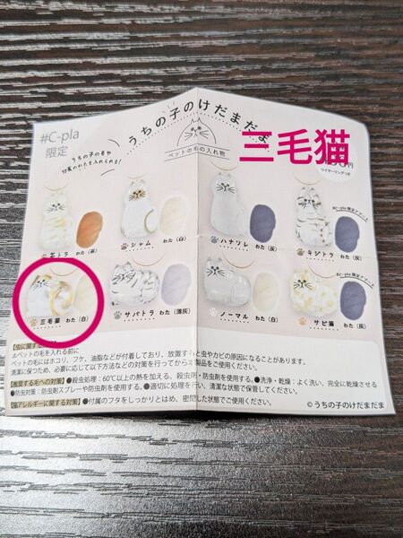 うちの子のけだまだま 三毛猫 猫 ねこ