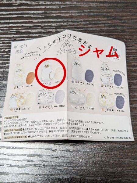 うちの子のけだまだま シャム 猫 ねこ