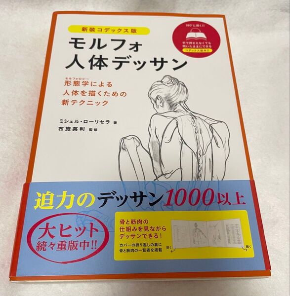 モルフォ人体デッサン