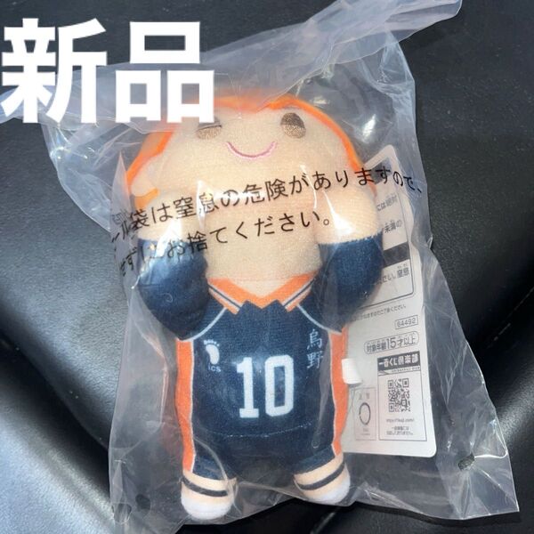 ハイキュー!! 一番くじ D賞 ちょこのっころんぬいぐるみ 日向翔陽 翔陽 ぬいぐるみ