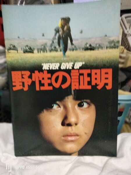 薬師丸ひろ子…映画パンフレット・ポスター、(未使用未開封ポスターカレンダー)4セット