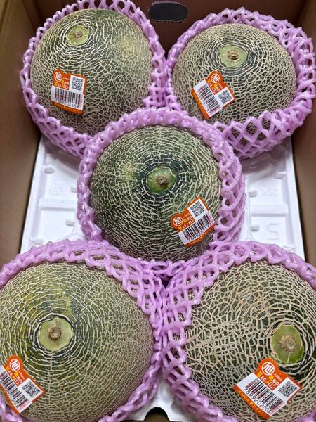 クインシーメロン 2Lサイズ 5個 箱込 5キロ程度 茨城県産