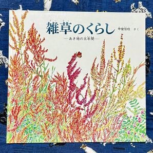 雑草のくらし ―あき地の五年間― 甲斐信枝 絵本