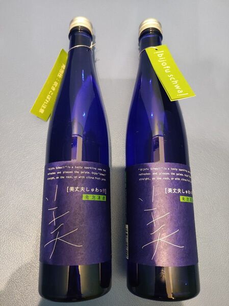 ★美丈夫 しゅわっ!! 発泡清酒2本セット。高知県の日本酒銘酒です。