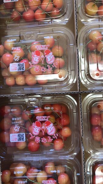 山形県産さくらんぼ 200g×2合