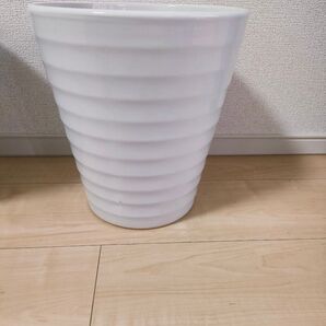 陶器鉢 観葉植物