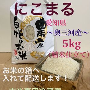 令和6年度新米 にこまる 奥三河産 5kg (精米仕立て) 箱配送!