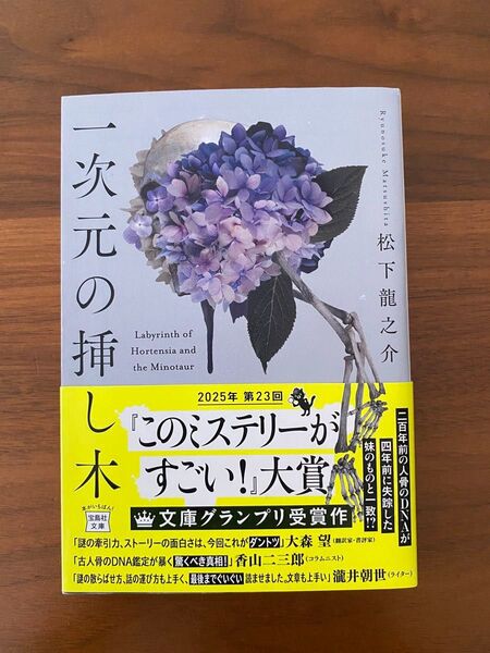 一次元の挿し木 (宝島社文庫 Cま-5-1 このミス大賞) 松下龍之介/著