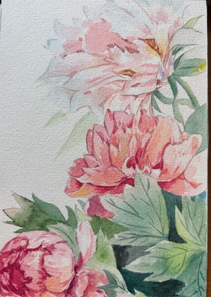 水彩画 原画 花果物風景画