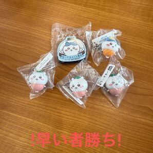 ちいかわ びっくらぽん ハチワレ