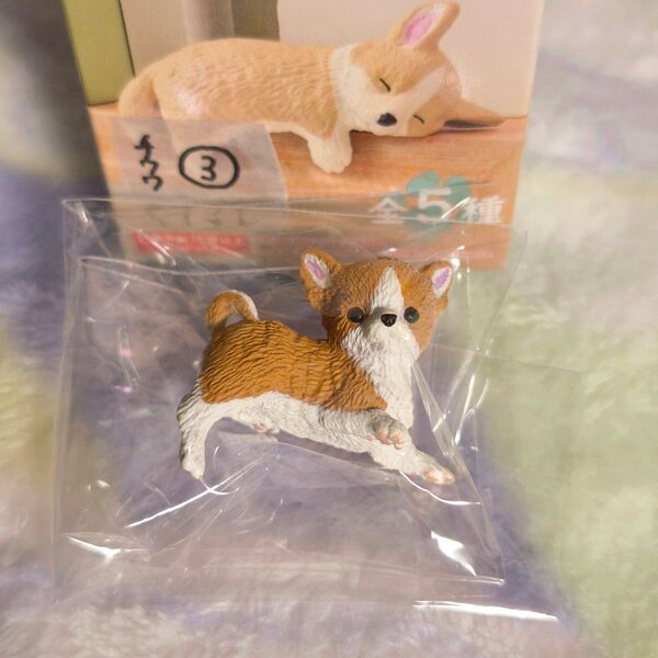 ふちやすみ 色々わんこ2 チワワ 赤茶 レッド フィギュア ミニチュア ③