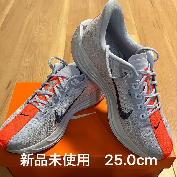 NIKE ペガサスプラス 25.0cm
