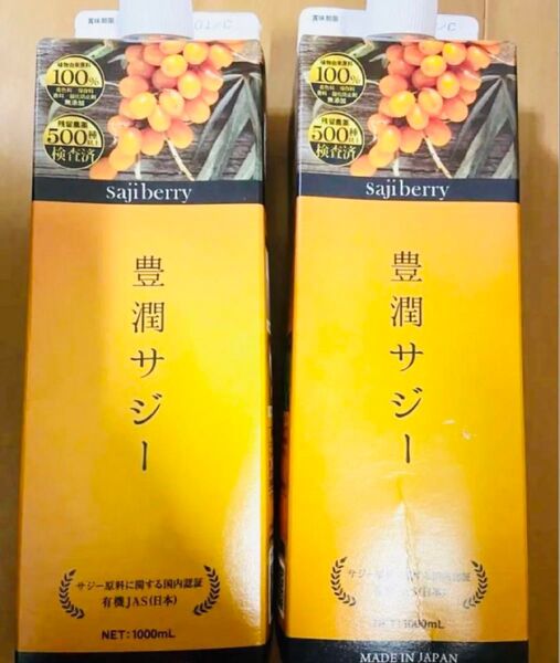 豊潤サジージュース 1000mL 2本セット フィネス