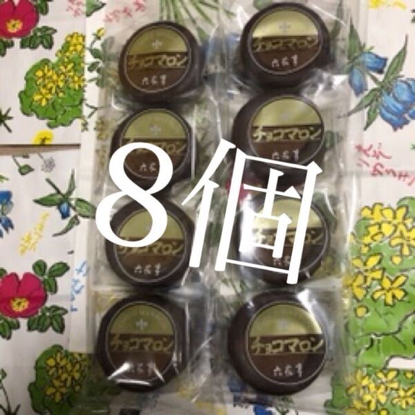 六花亭 チョコマロン 8個 ※常温発送