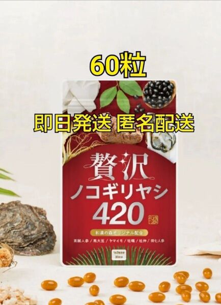 贅沢ノコギリヤシ420