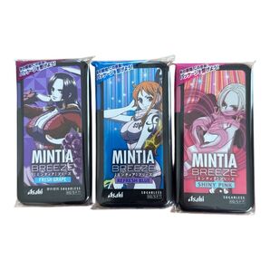 ミンティア ワンピース ケース 3個セット