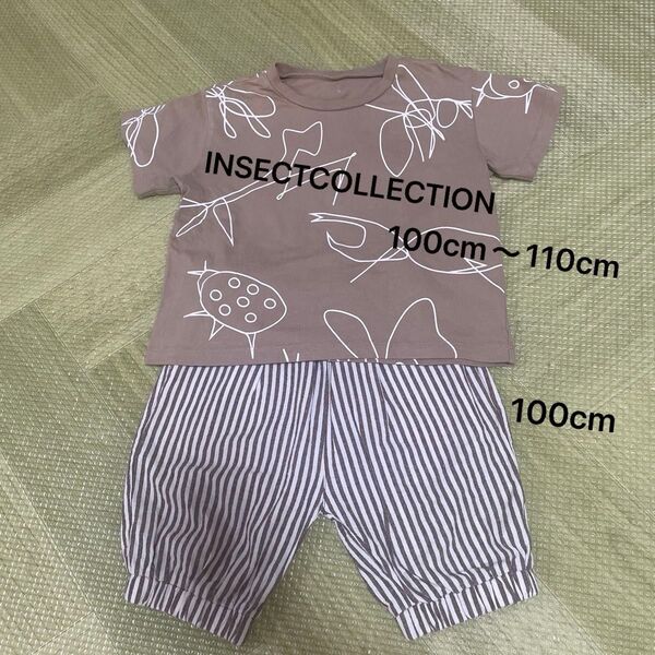 INSECT COLLECTION Tシャツ100cm〜110cm パンツ100cm セット 夏服 上下セット 綿100