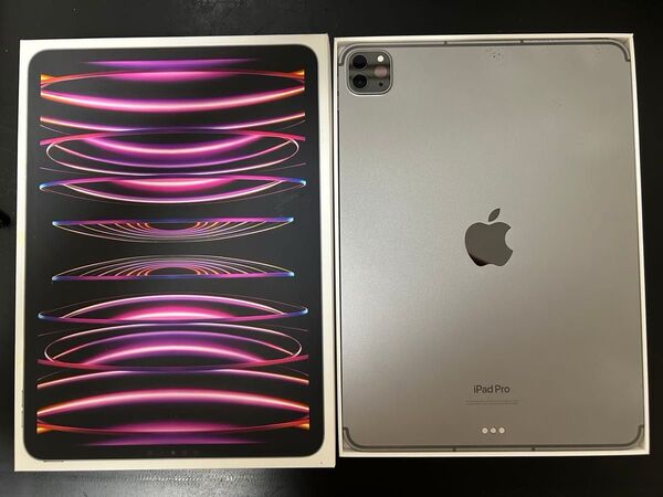 Apple iPad Pro 11インチ 第4世代 M2 シルバー 128GB Wi-Fi+cellularモデル