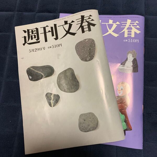 週刊文春 2025年5月29日 6月5日号 (文藝春秋)