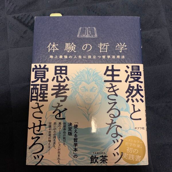 体験の哲学 地上最強の人生に役立つ哲学活用法 飲茶/著