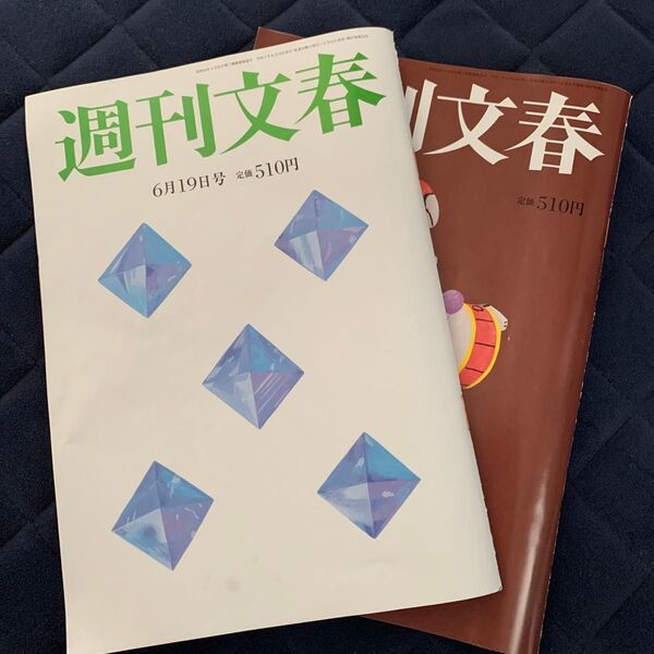 週刊文春 2025年6月19日 12日号 (文藝春秋)