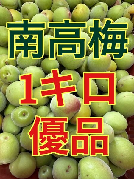 南高梅 1キロ