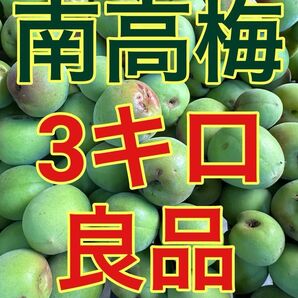 紀州南高梅 青梅 雹被害 3キロ