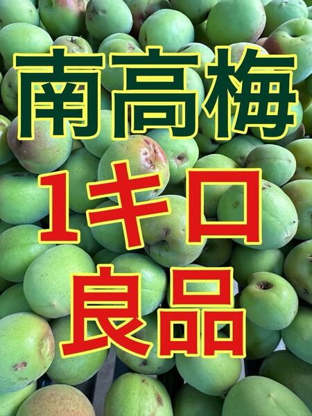 紀州南高梅 青梅 1キロ