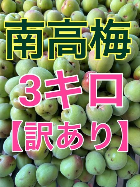 紀州南高梅 青梅 訳あり3キロ