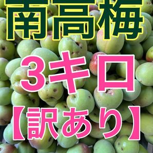 紀州南高梅 青梅 訳あり3キロ
