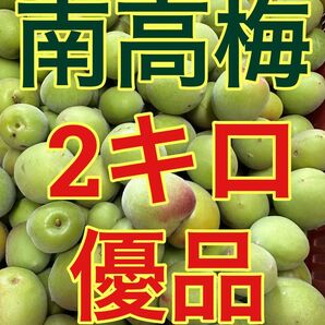 紀州南高梅 青梅 優品 2キロ