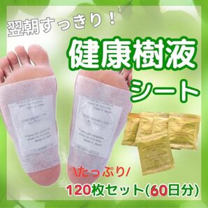 天然液シート 120枚セット 健康 足裏疲れストレス足むくみ貼るだけ