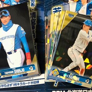 BBM 2025 北海道日本ハムファイターズ レギュラーカード & キラカード 117種 コンプリート