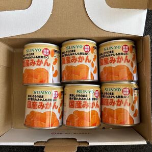 SUNYO 国産みかん 6缶セット