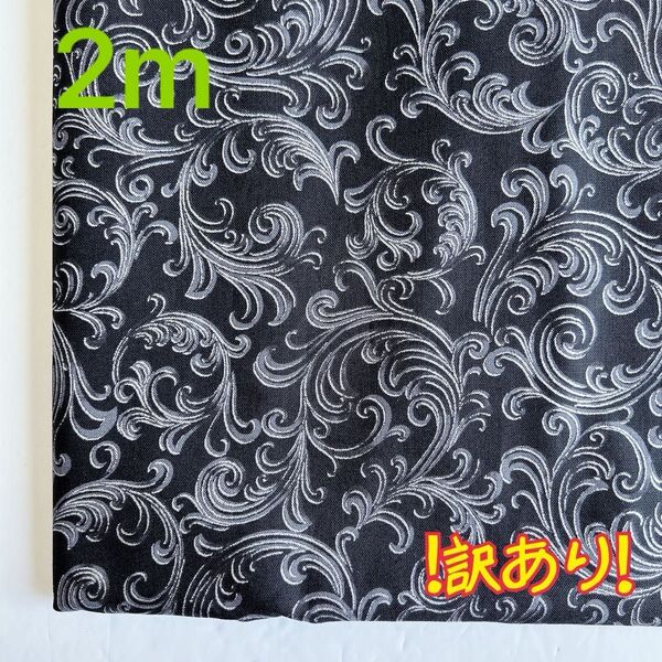 シーチング ぐるぐる模様 (ブラック) 110×200cm(約) ROBERT KAUFMAN !訳あり!