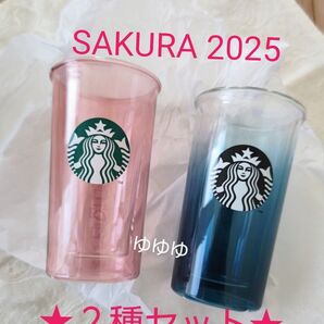 スターバックス 2点 ダブルウォール耐熱グラス ナイトブルーグラデーション ペールピンク さくら 2025 桜 夜桜 スタバ