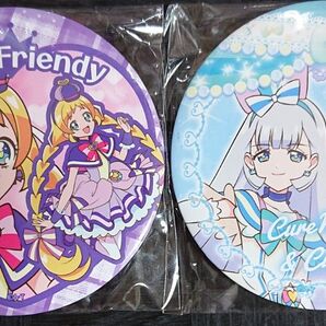 わんだふるプリキュア 缶バッジ 2個セット