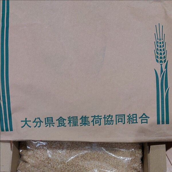 【令和6年産】ひのひかり玄米。1.2kg。大分県産。白米に混ぜて炊いても美味しく健康にも◎価格は相場により変動あり。農家直送!
