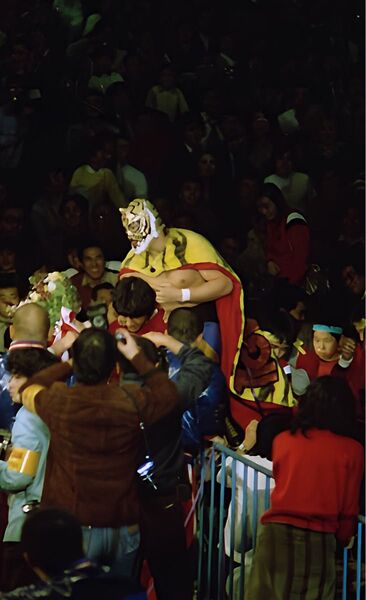 プロレス生写真 マスクマン② 20枚1組