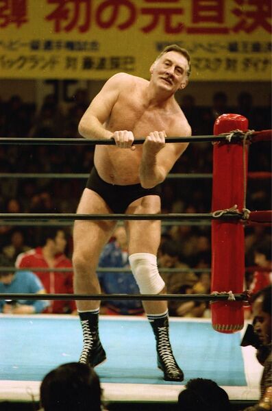 プロレス生写真 伝説のレスラー達 19枚1組