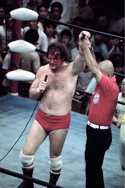 プロレス生写真 テリーファンク⑤ 20枚1組