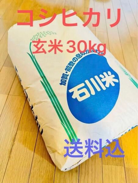 令和6年 お米 玄米 30kg コシヒカリ 石川県 送料込
