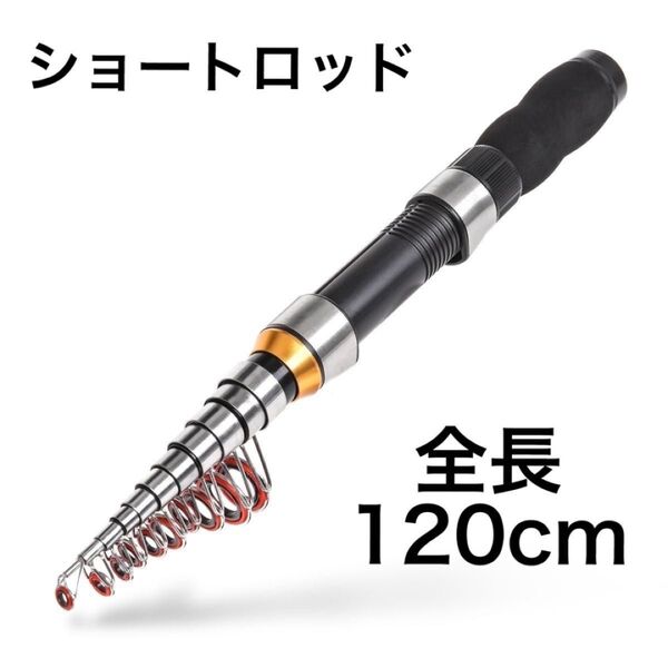 穴釣りロッド コンパクト ショート 短竿 ブラクリ 探り釣り 黒 120cm ロッド 根魚 子供 防波堤 穴釣り ちょい投げ 釣り