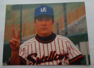 カルビープロ野球カード　若松　ヤクルト　１９７９年　　